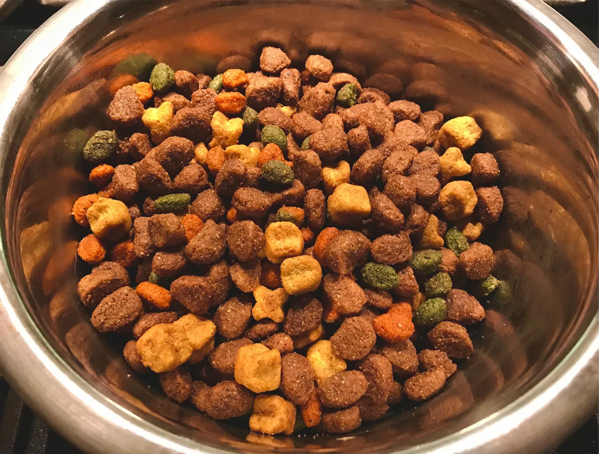 Choisir les meilleures croquettes pour chien sans céréales : guide d'achat